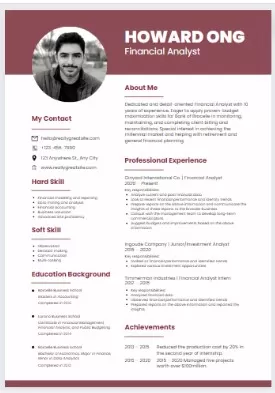 Create compelling, professional and aesthetically appealing resumes and CVs