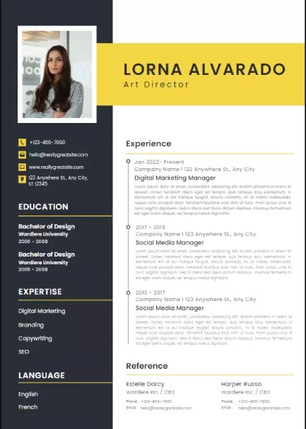 Create compelling, professional and aesthetically appealing resumes and CVs